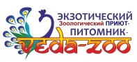 gallery/1зоо veda-zoo